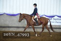 20YN_47993 proof