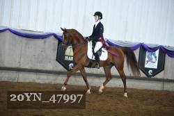 20YN_47997 proof