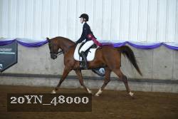 20YN_48000 proof