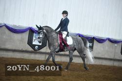 20YN_48001 proof
