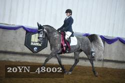 20YN_48002 proof