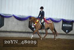 20YN_48029 proof