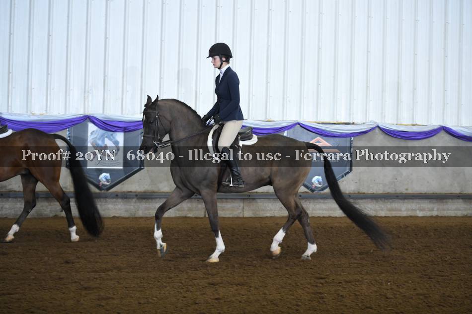 Proof 20YN_68040