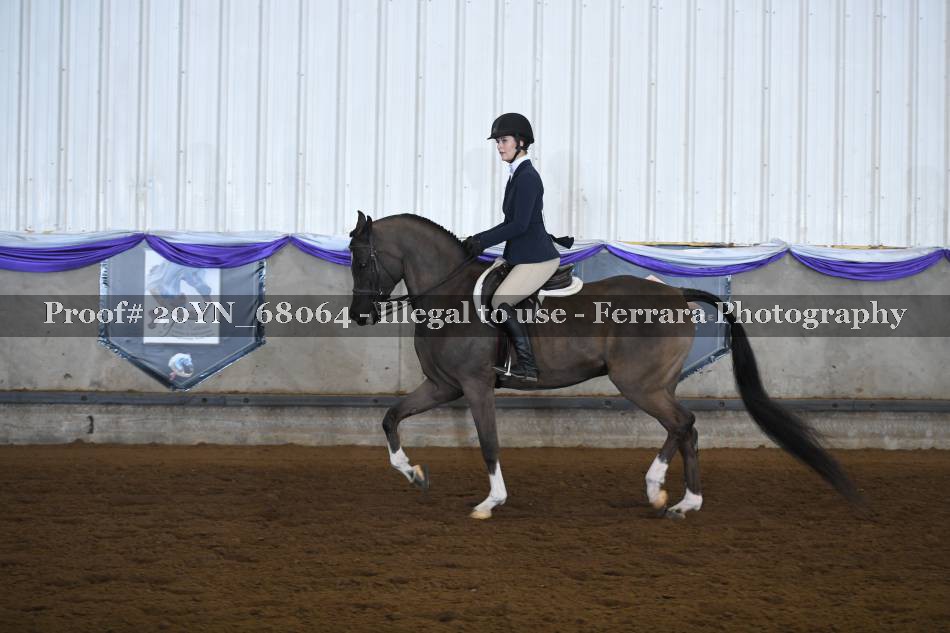 Proof 20YN_68064