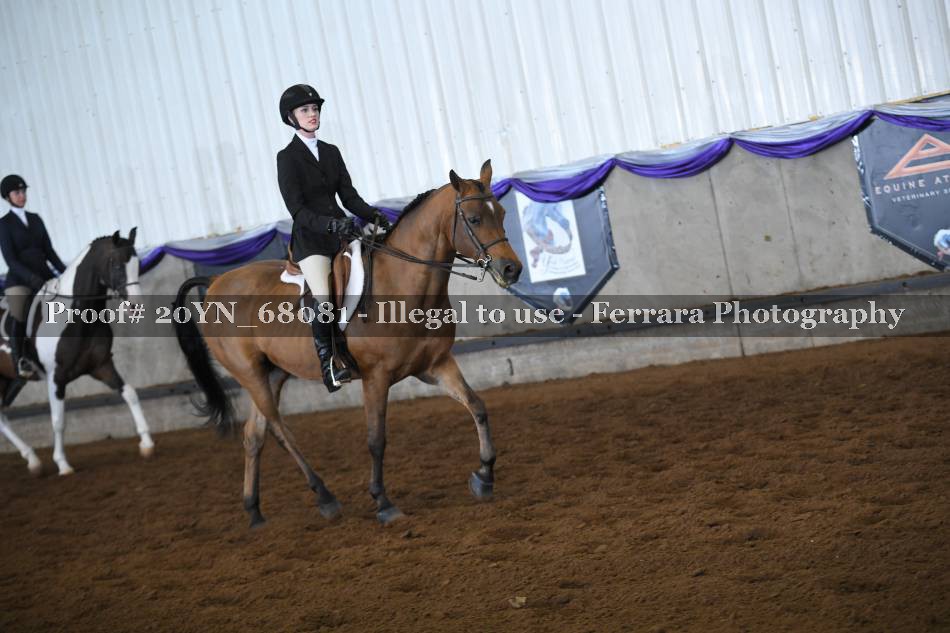 Proof 20YN_68081