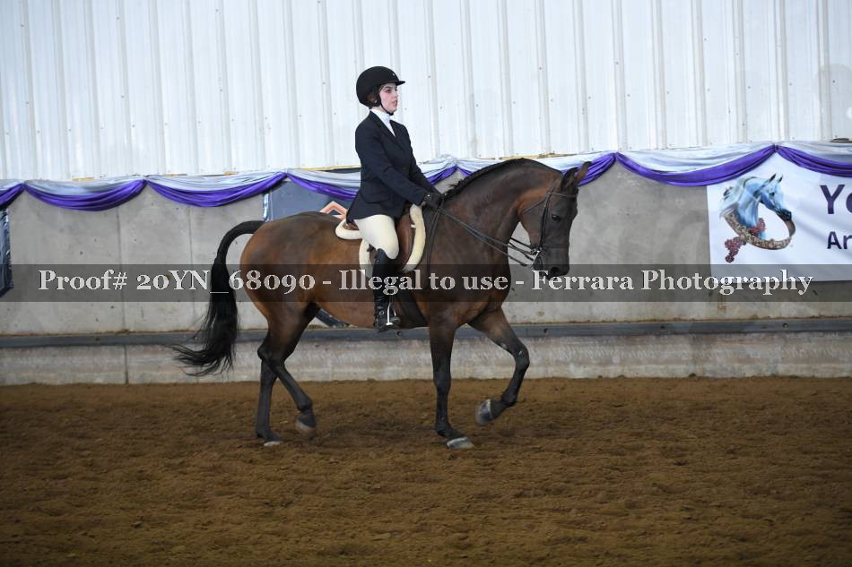 Proof 20YN_68090