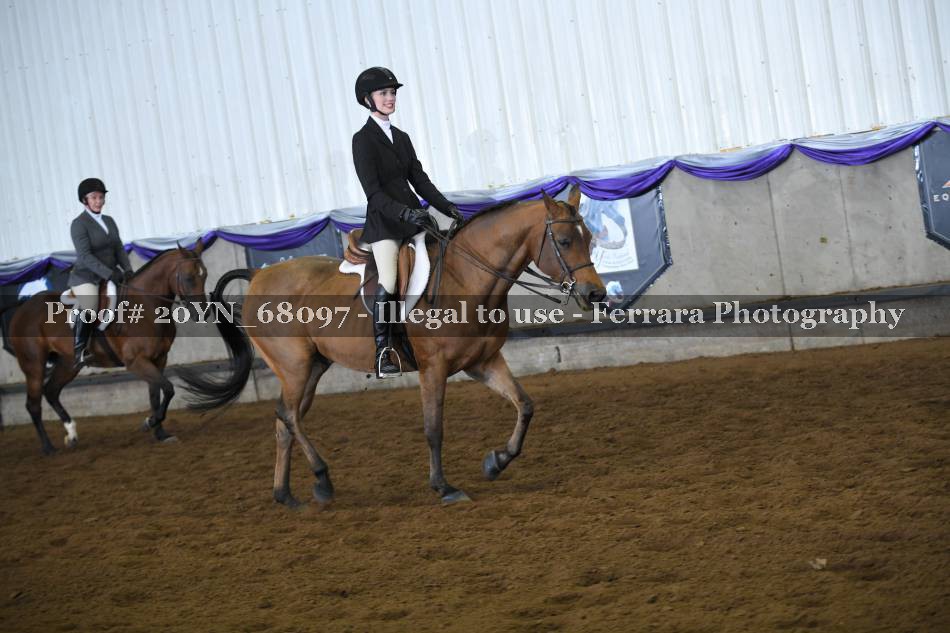 Proof 20YN_68097
