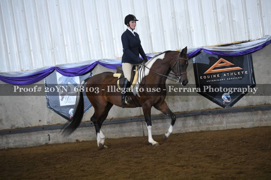 Proof 20YN_68103