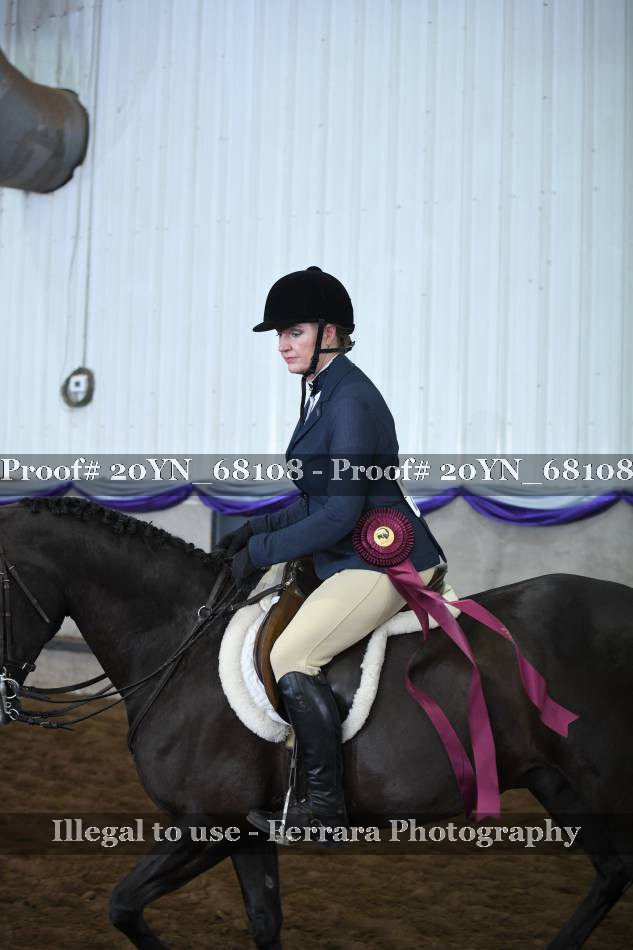 Proof 20YN_68108
