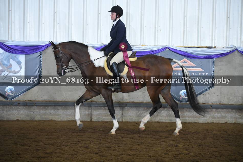 Proof 20YN_68163