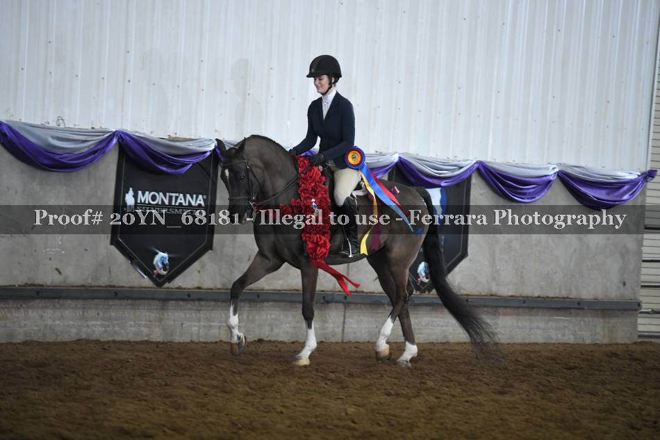 Proof 20YN_68181