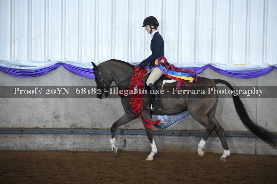 Proof 20YN_68182