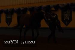 20YN_51120 proof