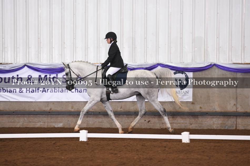 Proof 20YN_09095