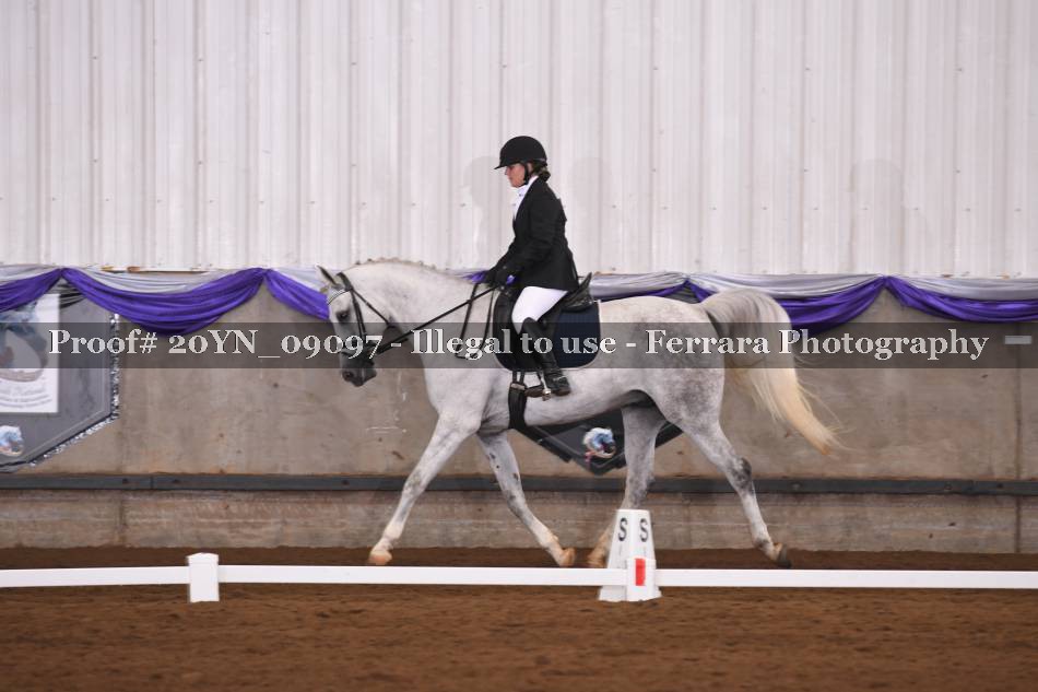 Proof 20YN_09097