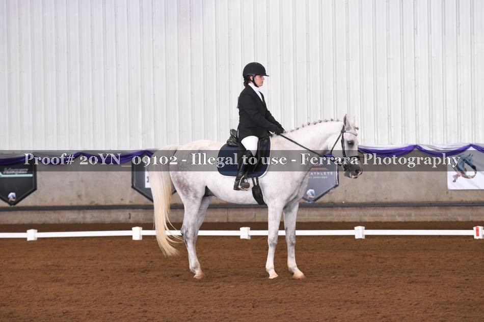 Proof 20YN_09102