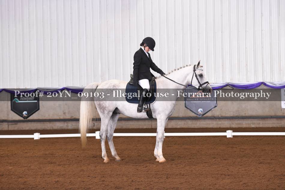 Proof 20YN_09103