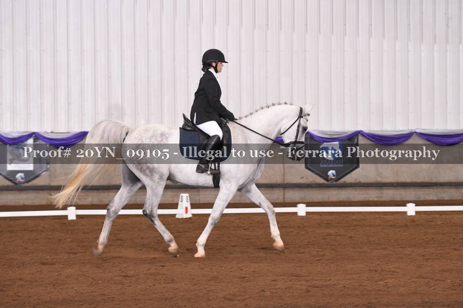 Proof 20YN_09105