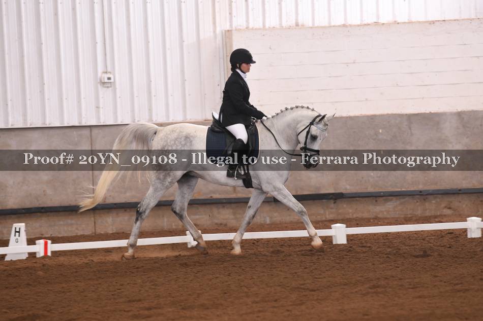 Proof 20YN_09108