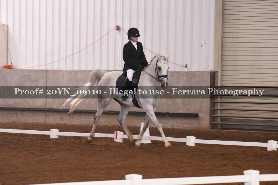 Proof 20YN_09110