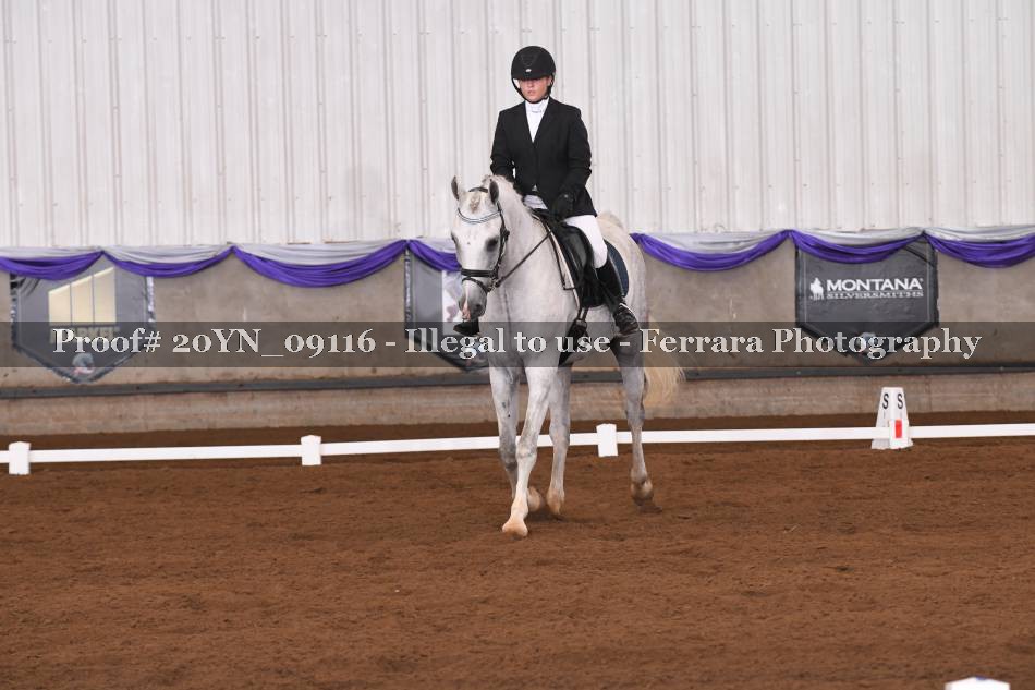Proof 20YN_09116