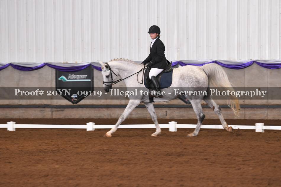 Proof 20YN_09119
