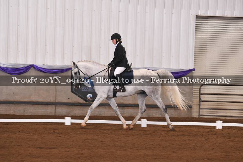 Proof 20YN_09120