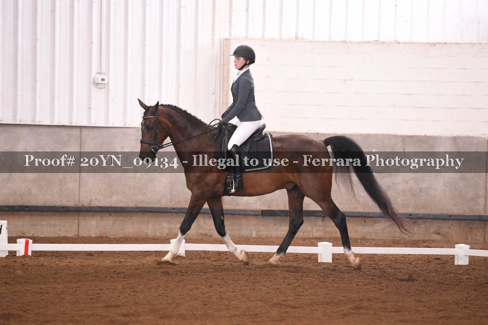 Proof 20YN_09134