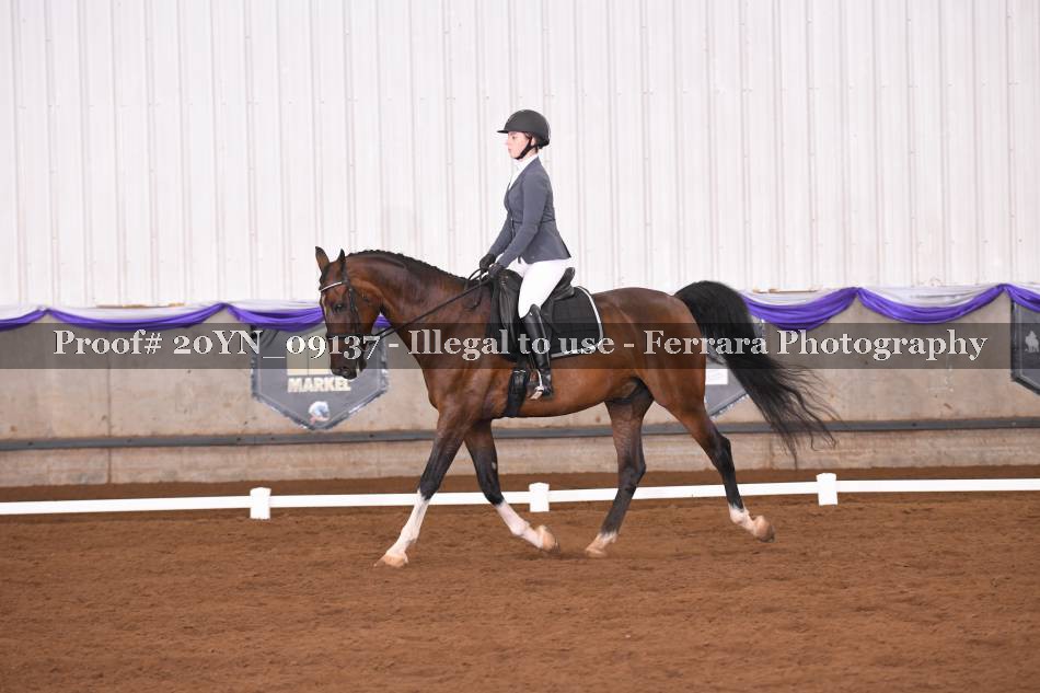 Proof 20YN_09137