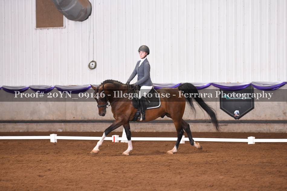 Proof 20YN_09146