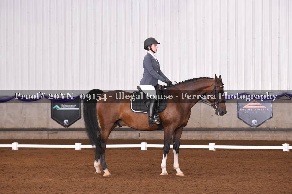 Proof 20YN_09154