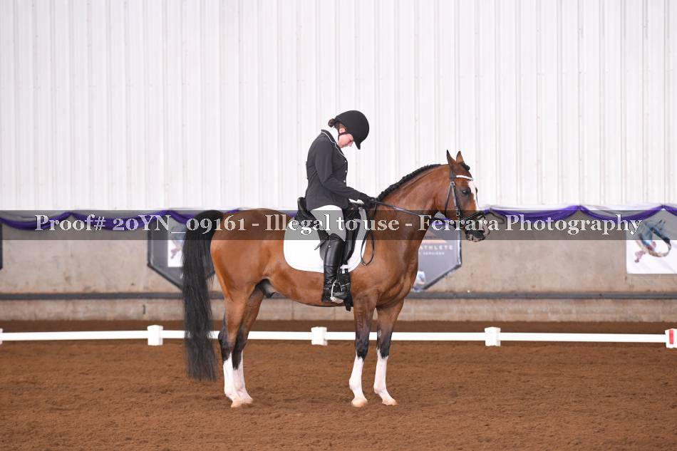 Proof 20YN_09161