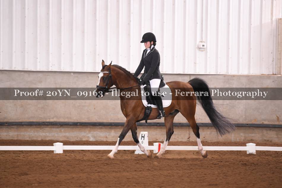 Proof 20YN_09163
