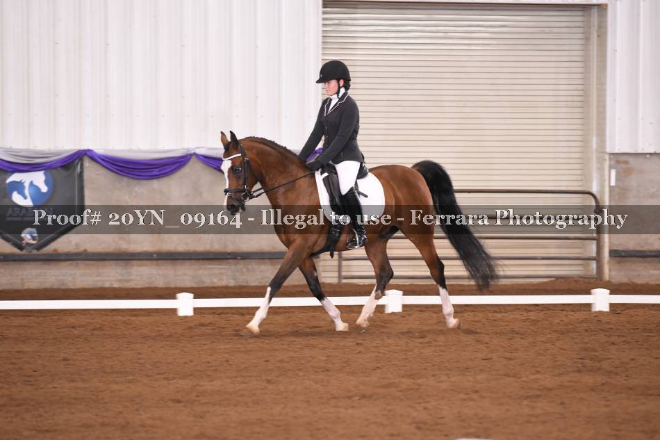Proof 20YN_09164