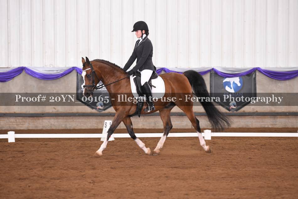 Proof 20YN_09165