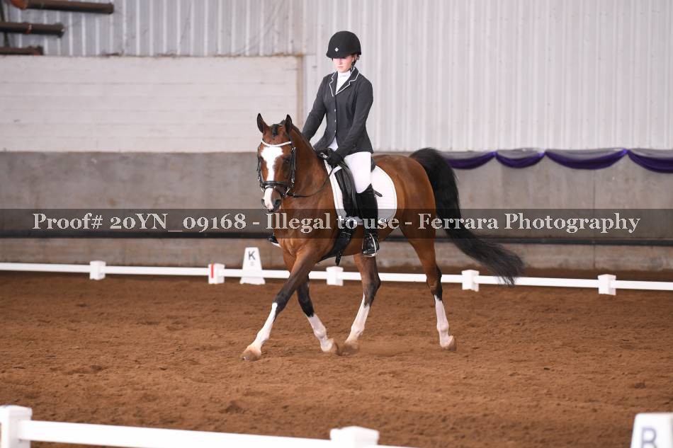 Proof 20YN_09168