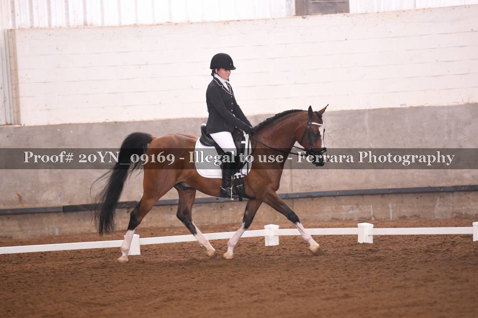 Proof 20YN_09169