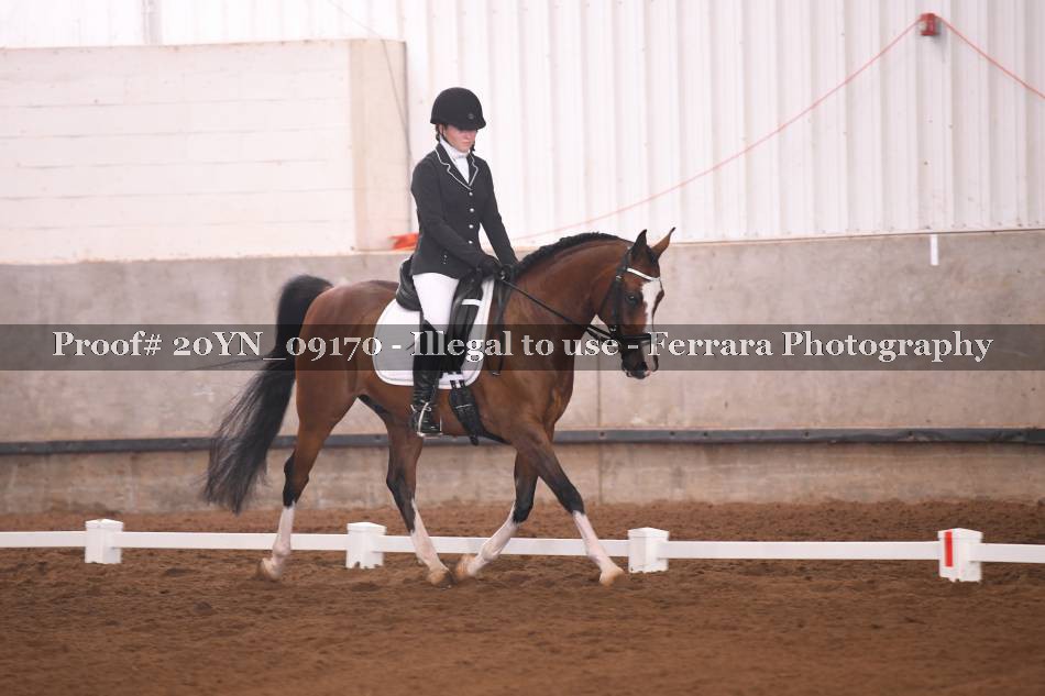 Proof 20YN_09170