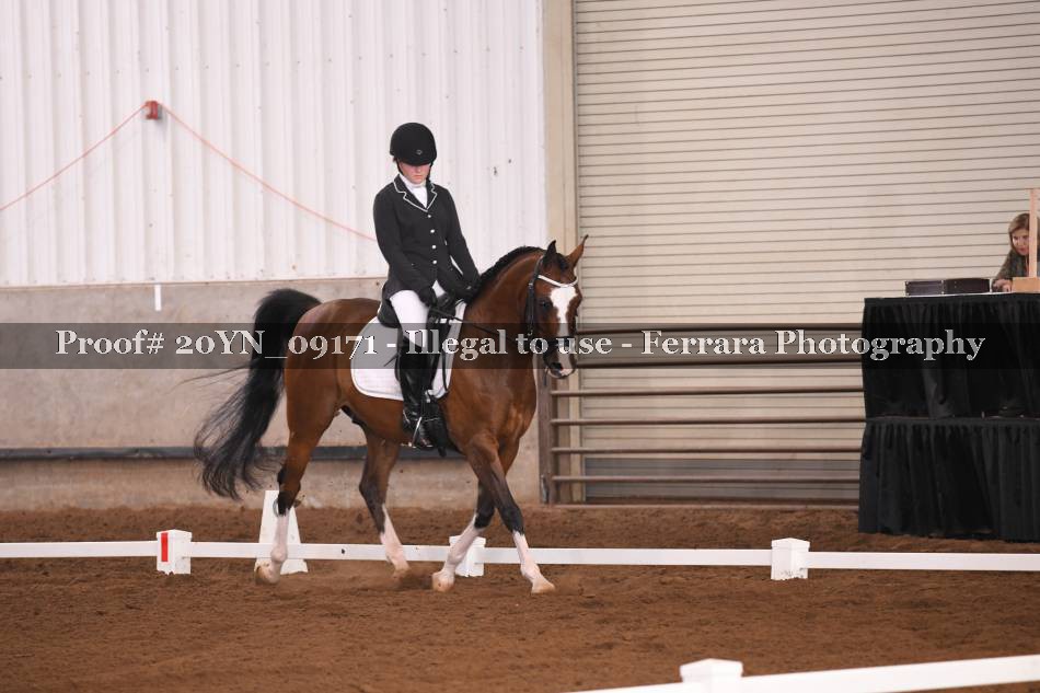 Proof 20YN_09171