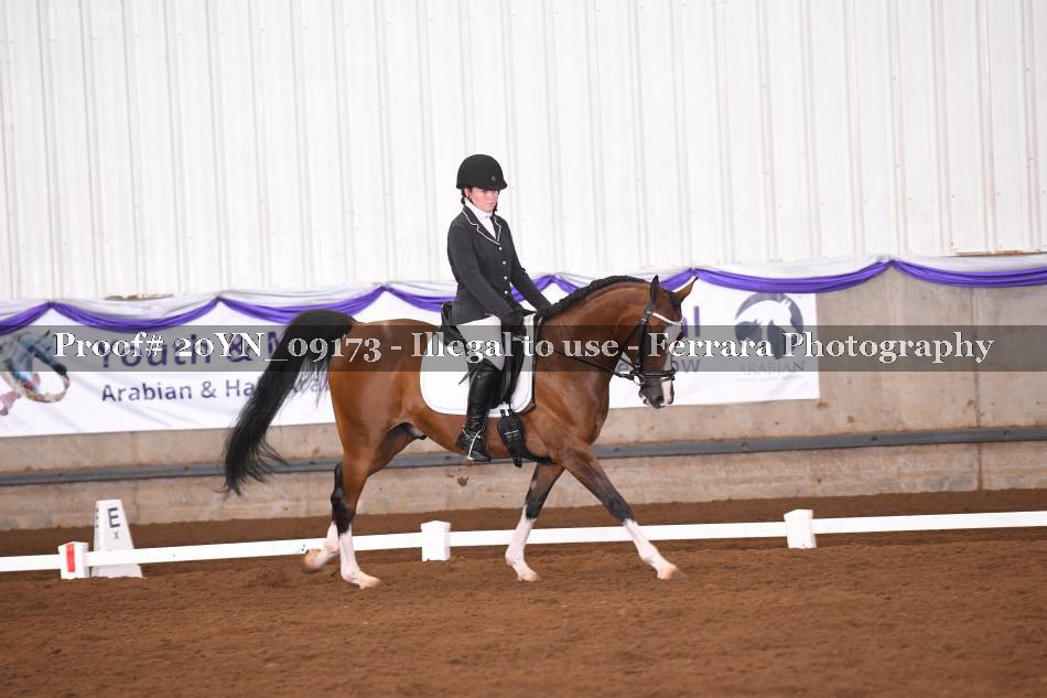 Proof 20YN_09173