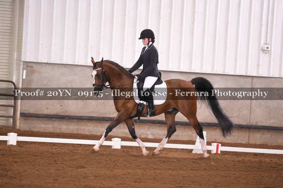 Proof 20YN_09175