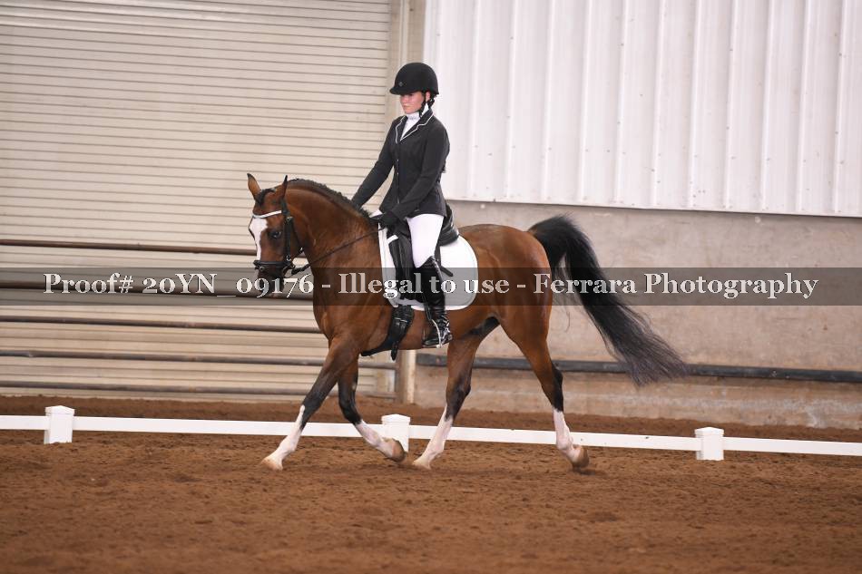 Proof 20YN_09176