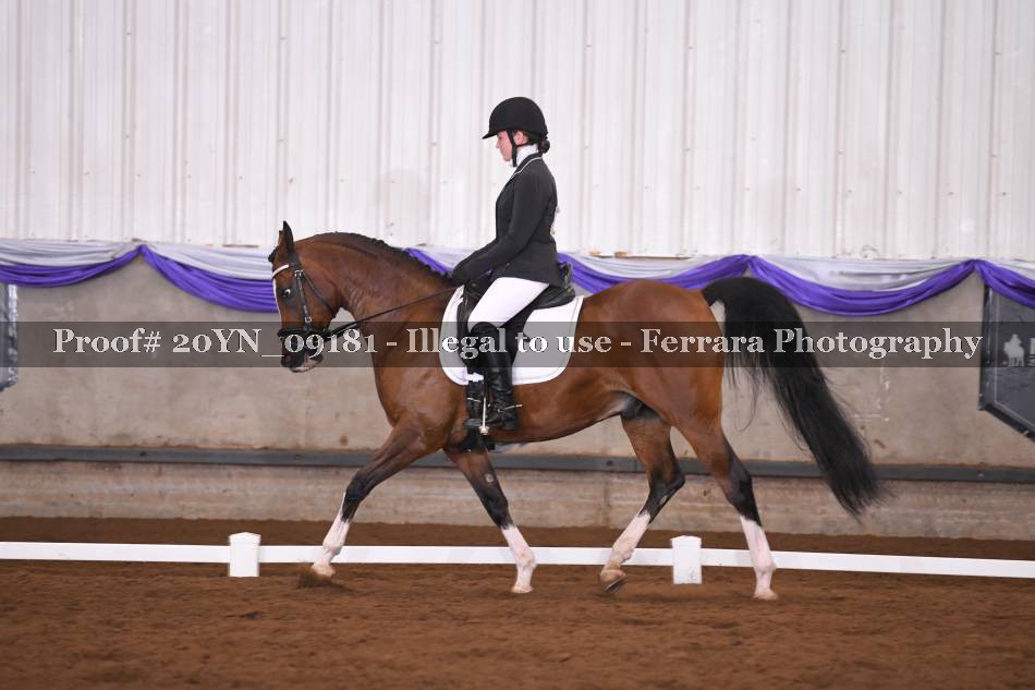 Proof 20YN_09181