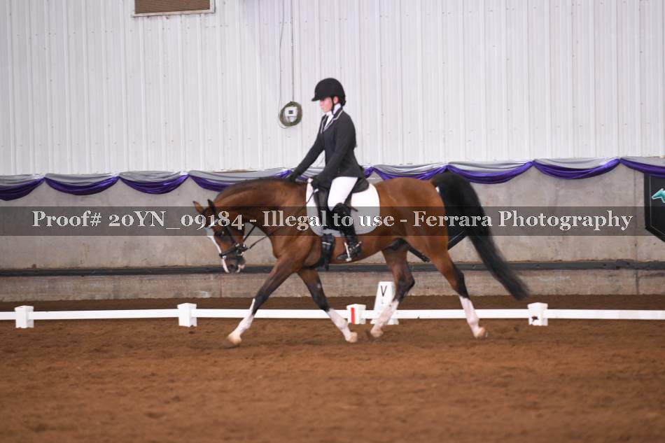 Proof 20YN_09184