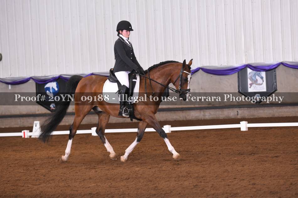 Proof 20YN_09188