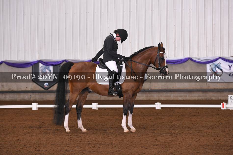 Proof 20YN_09190