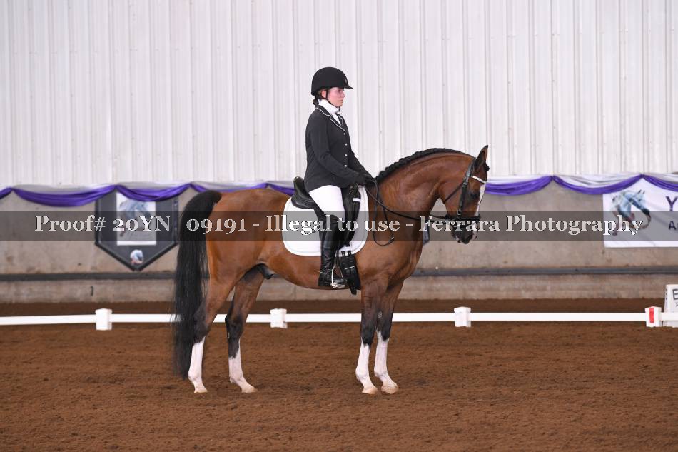Proof 20YN_09191