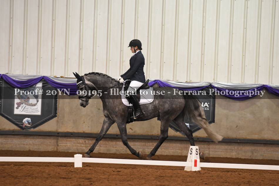 Proof 20YN_09195