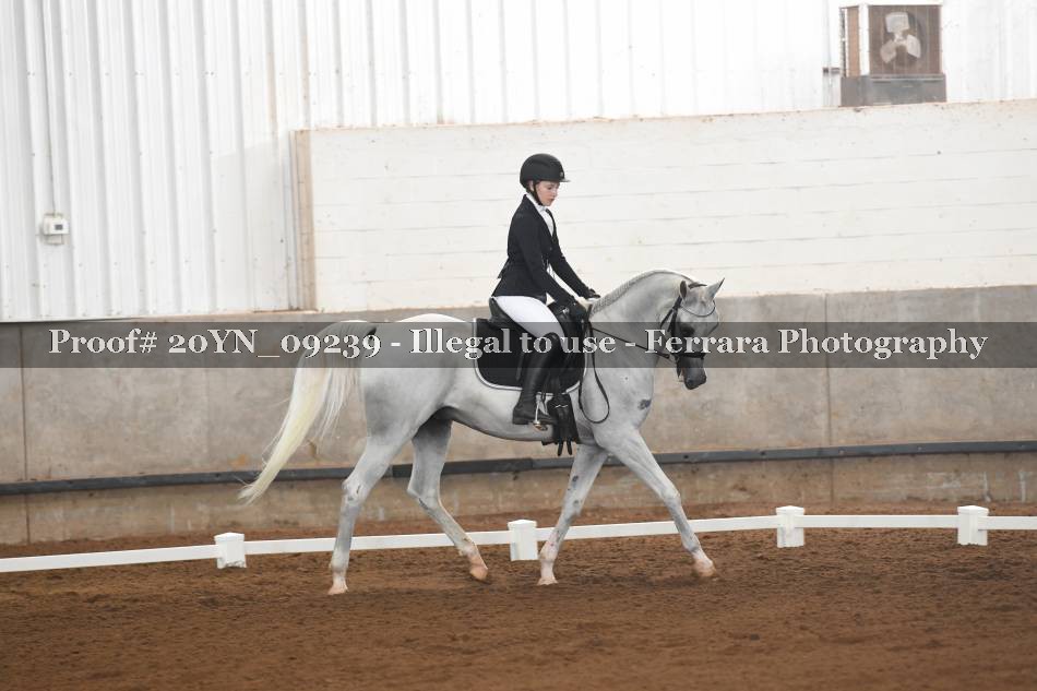 Proof 20YN_09239