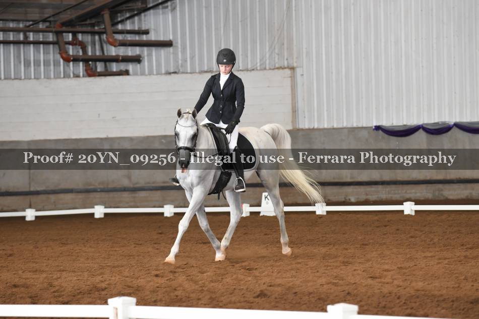 Proof 20YN_09256
